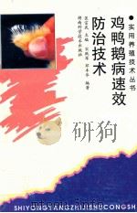 鸡鸭鹅病速效防治技术 1998 PDF电子版封面 753717047 宗武主编;宋跃军,邓丰华编著