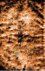 小号手 1949 PDF电子版封面 罗丹著