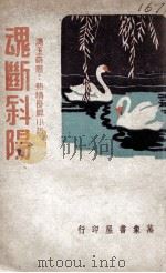 魂断斜阳 新型热情长篇小说 1941 PDF电子版封面 冯玉奇著