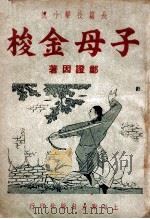 子母金梭  技击长篇小说（ PDF版）