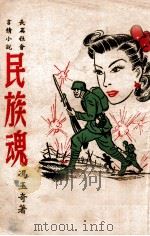 民族魂 长篇社会言情小说 1946 PDF电子版封面 冯玉奇著