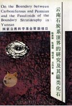 云南石炭系顶界的研究及其蜓类化石 1991 PDF电子版封面 7541603511 陈庚保等著
