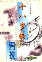 十八岁的男孩 1999 PDF电子版封面 7537135037 孙自筠选编