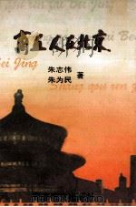 商丘人在北京 1997 PDF电子版封面 80027393 朱志伟,朱为民著