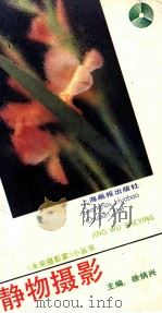 静物摄影 1991 PDF电子版封面 7805300399 齐涤昔,徐宜编著