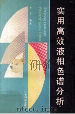 实用高效液相色谱分析 1994 PDF电子版封面 7535911943 李岩编著