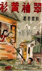 翠袖黄衫 社会长篇小说 5 1943 PDF电子版封面 刘云若著