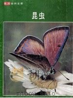 昆虫 1977 PDF电子版封面 法布与时代-生活丛书编辑合著
