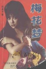 梅花梦 1993 PDF电子版封面 7536321813 邓寄平著