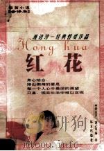 渡边淳一经典性爱作品  红花（ PDF版）