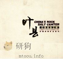 叶县  中国岩盐之都  中国名牌矿业城市（ PDF版）