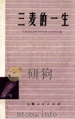 三麦的一生 1976 PDF电子版封面 16171198 江苏省农业科学研究所,小麦研究室编