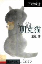 朋克猫 王敖诗选 1998 PDF电子版封面 7505930729 王敖著