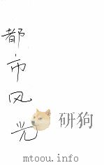 都市风光（ PDF版）