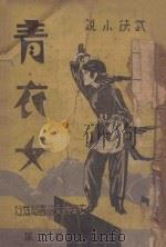 青衣女 武侠小说 6 1939 PDF电子版封面 康白云著