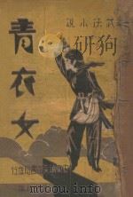 青衣女 武侠小说 18 1942 PDF电子版封面 康白云著
