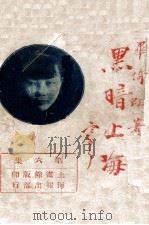 黑暗上海  社会小说  第6册（1928 PDF版）