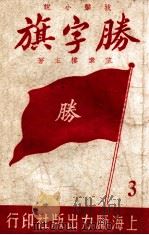 胜字旗  长篇武侠小说  3（ PDF版）