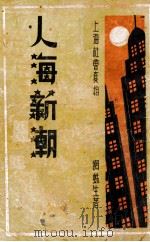 又名明珠浴血记 社会小说 1932 PDF电子版封面 网蛛生著