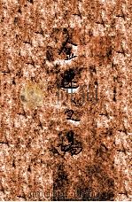 金谜之场，一名折柳趣史  4   1934  PDF电子版封面    凤俦生著 