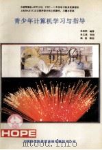 青少年计算机学习与指导 1990 PDF电子版封面 吴利明编著