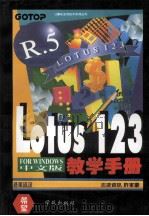 中文版Lotus 1-2-3 R5 for Windows教学手册 1994 PDF电子版封面 7507708063 许家豪编著