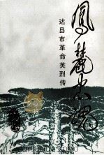 风麓忠魂 达县市革命英烈传 1990 PDF电子版封面 7220010168 中共达县市委党史研究室编