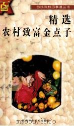 精选农村致富金点子 1996 PDF电子版封面 7539010886 舒平,周慧编写