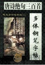 唐诗绝句三百首多体钢笔字帖 1996 PDF电子版封面 9787536328370 司马彦书