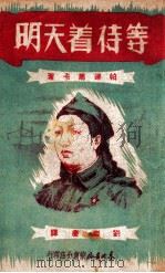等待着天明（ PDF版）