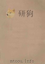 血浪子   1992  PDF电子版封面  7800682161  （日）西村寿行著 
