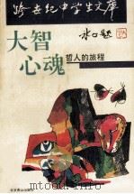 大智心魂 哲人的旅程 1993 PDF电子版封面 7540207353 魏光奇著