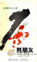 男朋友 1991 PDF电子版封面 金山著