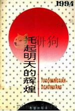 托起明天的辉煌 1994 1994 PDF电子版封面 7537915032 俞贵麟,宋林,张凤瑞主编