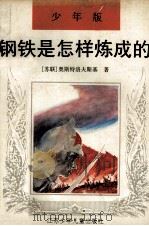 钢铁是怎样炼成的 少年版 1990 PDF电子版封面 7534605709 (苏)奥斯特洛夫斯基(Островский,Н.A.)原著;