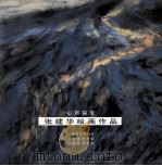 张建华绘画作品  心声探求（ PDF版）