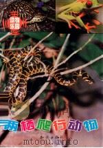 两栖爬行动物 1994 PDF电子版封面 7501511403 冯友谦主编;唐永利,全燕云副主编;马连科编