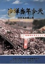 沙洋当年今天 1994 PDF电子版封面 湖北省沙洋县地方志编纂委员会编;张德宝,吴振锋,何绍春等主编