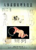 人体素描原理及技法 1999 PDF电子版封面 7544212246 杨卫平,全泉编写;白冰摄影;杨洋,晓毛绘画