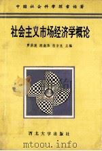 中国社会科学探索论著  社会主义市场经济学概论（1994 PDF版）