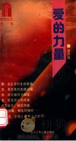 爱的力量 1990 PDF电子版封面 7534204992 赵丹涯著