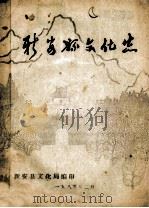 新安县文化志 1985 PDF电子版封面 新安县文化局编