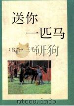 送你一匹马 1993 PDF电子版封面 7541806331 三毛著