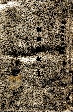 县政概况 续编 卷上 1937 PDF电子版封面 张国栋编