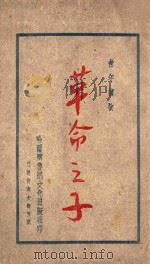 革命之子（ PDF版）