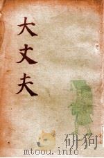 大丈夫 1936 PDF电子版封面 范文澜著