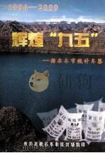 辉煌“九五”格尔木市统计年鉴 1996-2000 PDF电子版封面 青海省格尔木市统计局编印