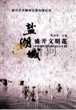 盐湖城盛开文明花：格尔木市精神文明创建纪实（ PDF版）