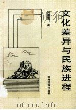 文化差异与民族进程 1997 PDF电子版封面 7541207039 罗康隆著