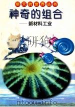 神奇的组合:新材料工业 1996 PDF电子版封面 7806240764 吴笙阳著